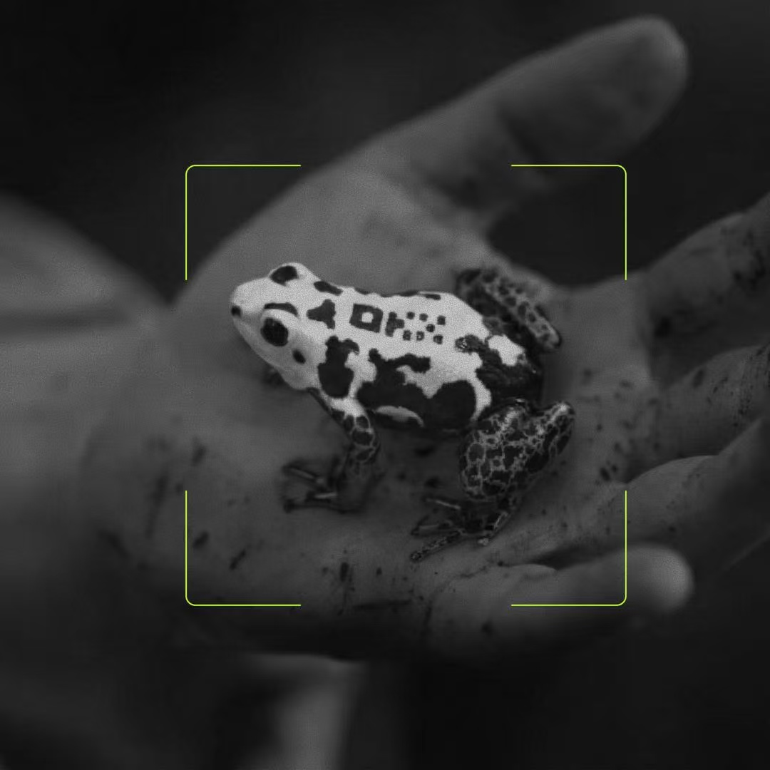 【一看就懂】OKX钱包使用指南：你的数字钱包说明书